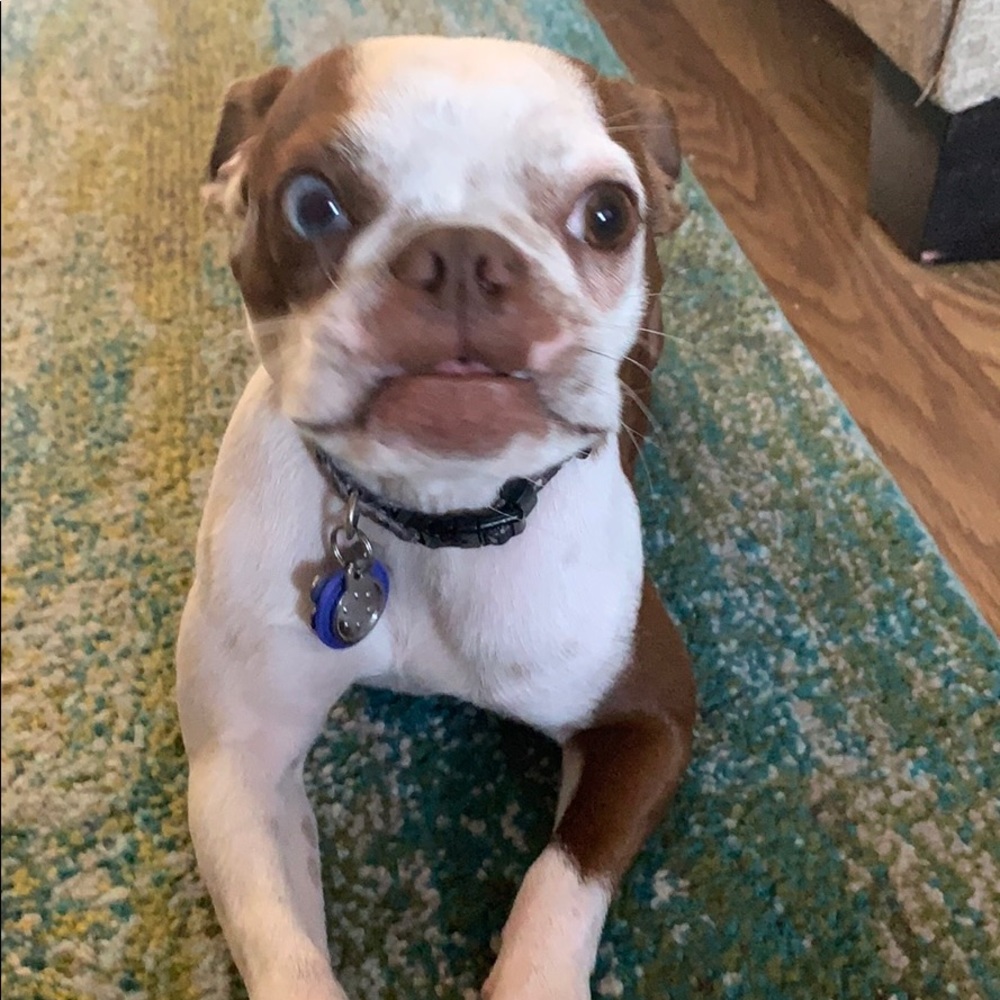 Meet your Posher, Carly